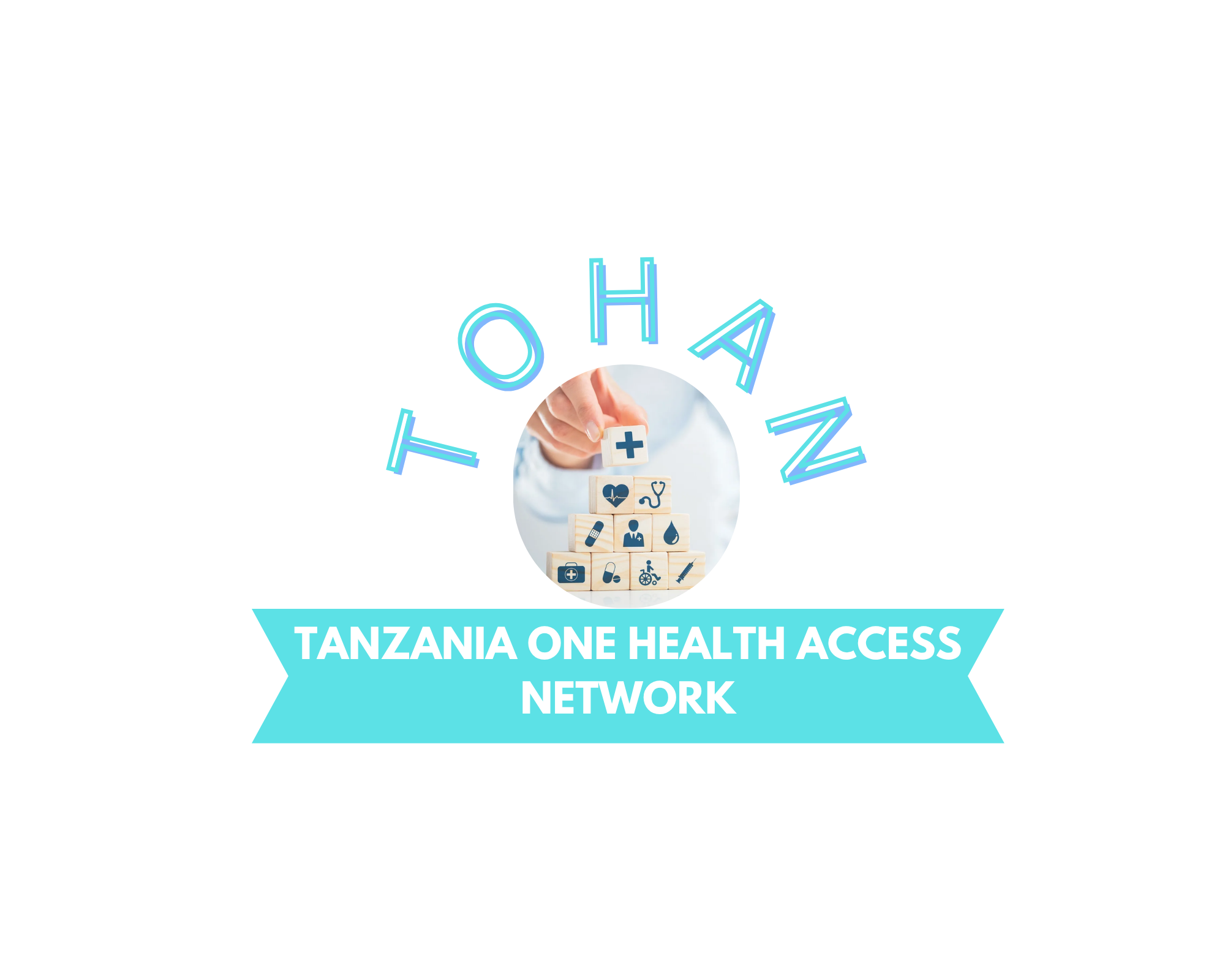 Tanzania One Health Access Network logo